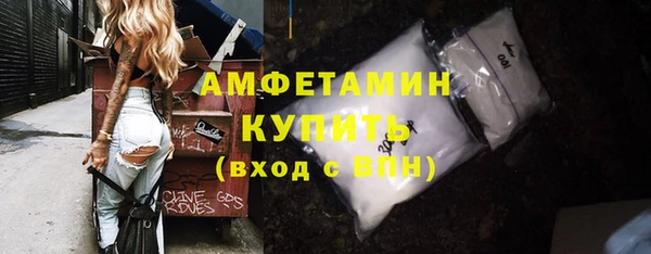 прущие грибы Михайлов