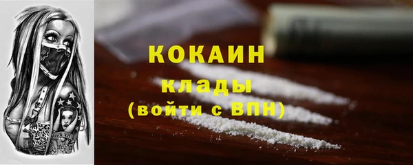 шишки Богданович