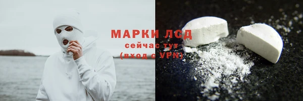 молекула духа Бородино