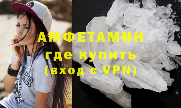 молекула духа Бородино
