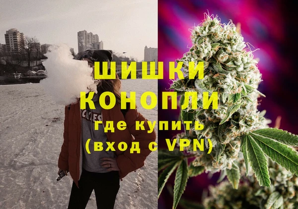 шишки Богданович