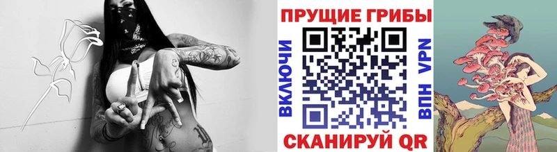 Псилоцибиновые грибы мухоморы  Костомукша 